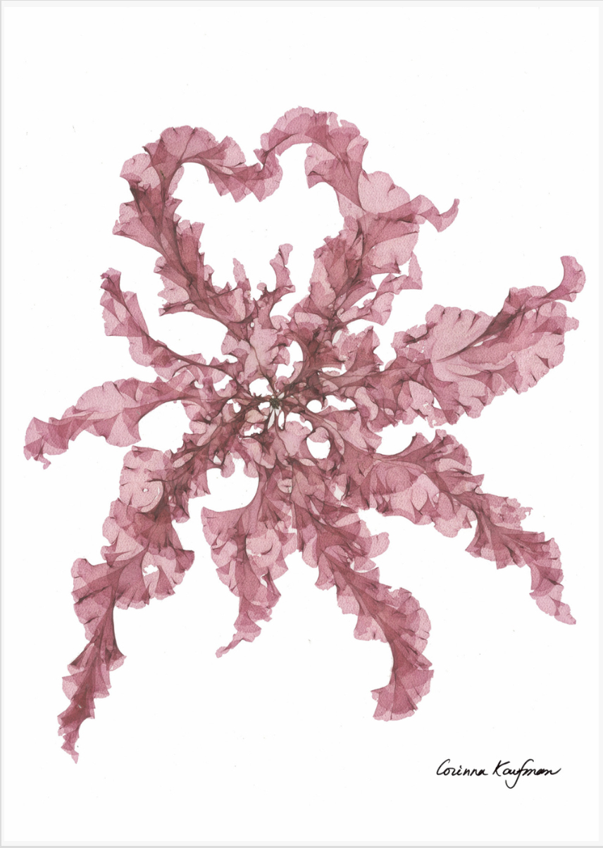 local-vendor-spotlight